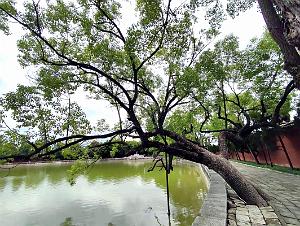 JIUNSHUI TEMPLE DE CONFICIUS (36)